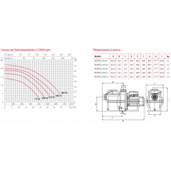VAL PVC ANTIRRETORNO INCL ENC 32 PISTON