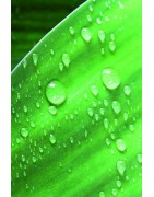 Aspersores Jardineria